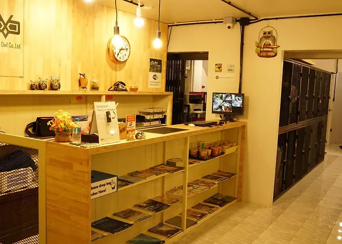 スリープ アウル